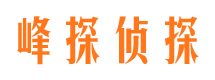 东海岛找人公司